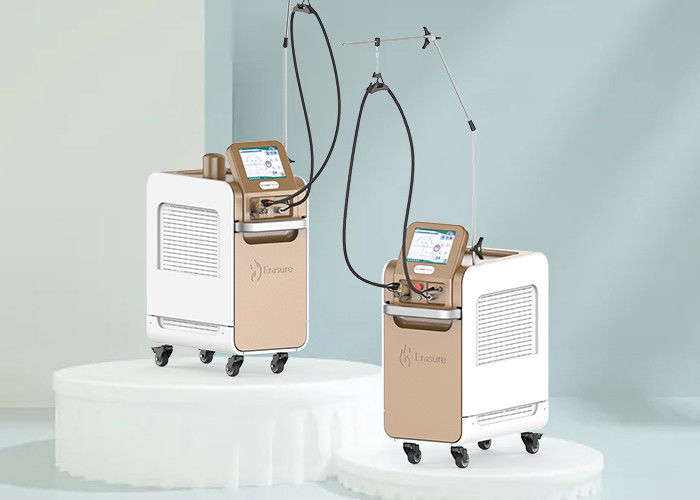 두 IGBT 젠틀야그 프로 레이저 1064 Nm 사고 방식 모발 제거 오랫동안 펄스용 ND 야그